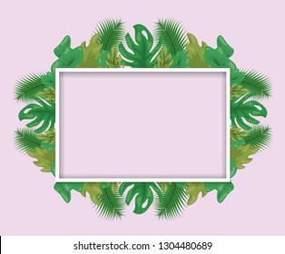 foliage nature leaves