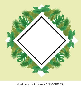 foliage nature leaves