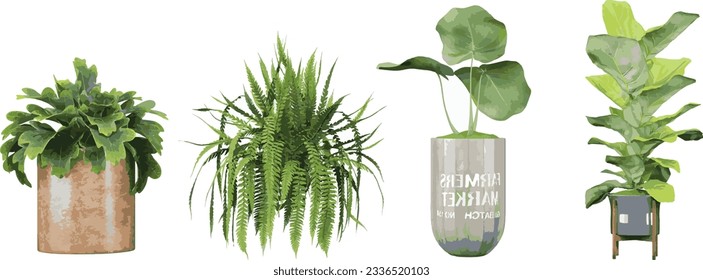 Foliage on the Go Portable Transparent Plant Images cutout transparency backgrounds 3d illustration png