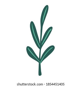 Foliage on twigs isolated on white background. Scandinavian botanical green color sketch in hand drawn vector illustration.