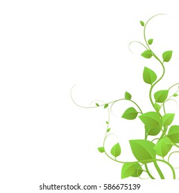  foliage on a white background, climbing plants, vector