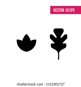 Foliage on a white background. Leaf vector icon. Leaf isolated on white. 10 eps
