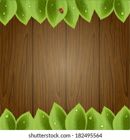Foliage on wooden background with ladybug and water drops, illustration.