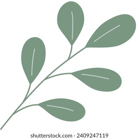  Foliage, plant, green herb. Abstract leaf element on white background. 