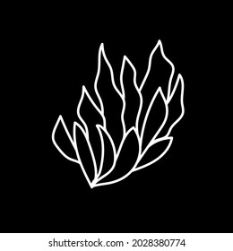 Foliage of the plant in a white outline on a black background