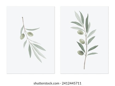 Foliage poster template design, olive branch on grey