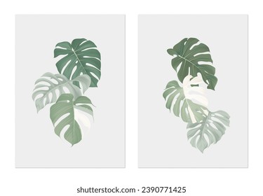 Foliage poster template design, various Monstera leaves on grey