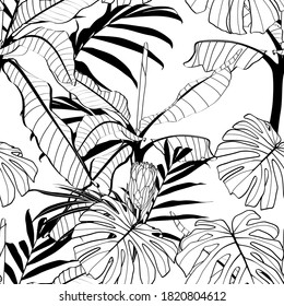 Blattnahtloses Muster, Bananenbaum und Palmenblätter, Linien-Kunstfarbe, Schwarz-Weiß-Zeichnung.