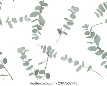 Foliage seamless pattern, Eucalyptus cinerea on white