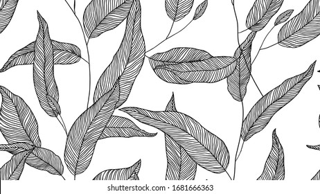 Foliage seamless pattern, eucalyptus leaves line art ink drawing in black on white