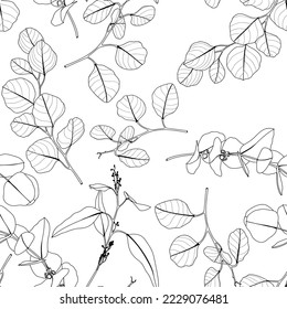 Foliage seamless pattern, eucalyptus leaves and flowers line art ink drawing. Seamless pattern.