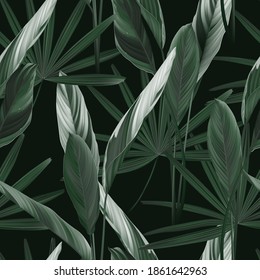 Foliage seamless pattern, heliconia Ctenanthe oppenheimiana plant and Rhapis excelsa in green on dark green