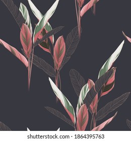 Foliage seamless pattern, heliconia Ctenanthe oppenheimiana plant on dark grey