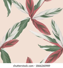 Foliage seamless pattern, heliconia Ctenanthe oppenheimiana plant on bright orange