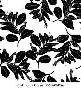 Foliage seamless pattern, plant, Solomon's seal (Polygonatum multiflorum) branch leaves line art ink drawing in black and white.