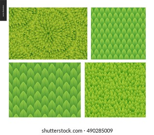 Conjunto de follaje. Hojas verdes sin soldadura patrones de catrosis vectorial dibujados a mano