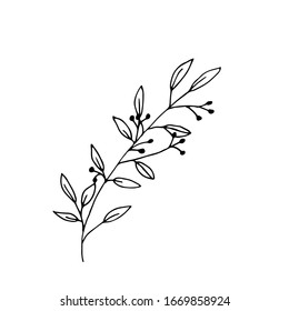 Foliage Silhouette On A White Background, Vector Botanical Set.
For Wedding Design, Greeting Card, Banner And Logo.engraved , Leaves