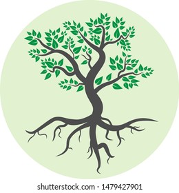 foliage tree with roots symbol or icon vector illustration