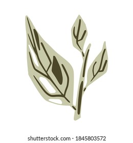 Folien mit Zweigen einzeln auf weißem Hintergrund. Skandinavische botanische Skizze, handgezeichnet mit doodle Vektorgrafik