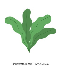 foliage vegetation plant nature isolated icon design white background vector illustration