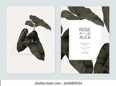 Foliage wedding invitation card template design, dark green Philodendron burle marx plant on light grey