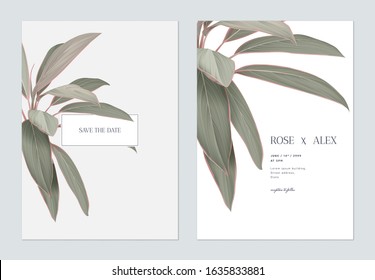 Foliage wedding invitation card template design, Cordyline fruticosa Firebrand plant on white and grey