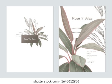 Foliage wedding invitation card template design, Cordyline fruticosa Firebrand plant on white