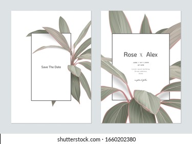 Foliage wedding invitation card template design, Cordyline fruticosa Firebrand plant on white