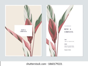 Foliage wedding invitation card template design, Ctenanthe oppenheimiana on bright brown and white