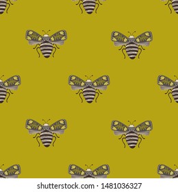 Folk art ornate insects background. Colorful seamless pattern of night moths with decorated wings.