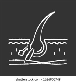 Follicle chalk white icon on black background. Damaged hair root. Microscopic look on skin tissue. Epidermis problem. Dermatology. Alopecia treatment. Isolated vector chalkboard illustration