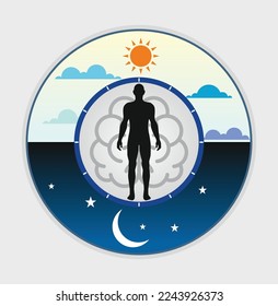 Biologische Uhr des Tages für eine bessere Gesundheit, Die zirkadischen Rhythmen werden von zirkadischen Uhren kontrolliert, Vektorgrafik