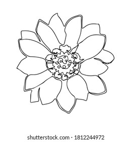 Chrysanthemum Flower Lineart Decoration Stock Vector (Royalty Free ...