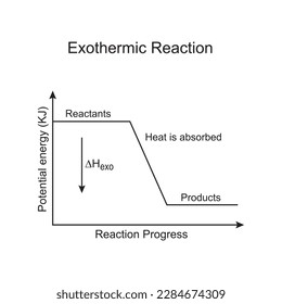 The following reaction pathway diagram shows that amount  of energy absorbed by the endothermic reaction of a reversible reaction, is the same released by the exothermic reaction. vector graphics 