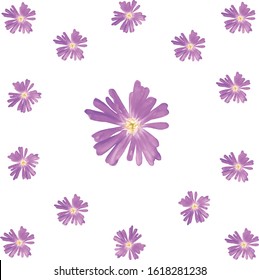 Fondo o trama de flores violetas. Margaritas violetas o rosas. Flores de color amarillo, blanco, lila, rosa o violeta. Papel digital con diseño primaveral. Vector EPS 8