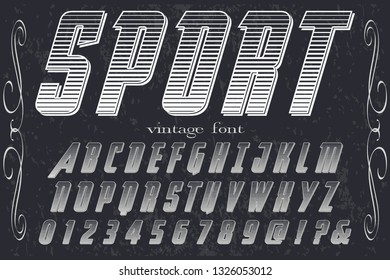 Font alphabet Script Typeface handcrafted handwritten vector label design named sport