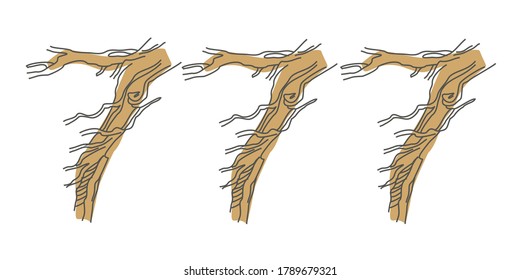 Font composition 777 of snaggy numbers. Natural typography based on tree roots