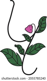 Font design in the form of flowers. Suitable for making logos or used to teach children.
