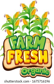 Font design for word fresh farm with fresh corns illustration