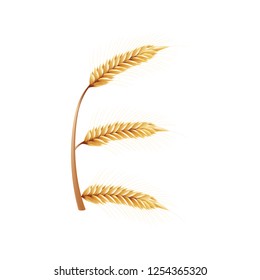 Font E. Paddy rice, malt, barley, wheat design