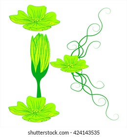 font green flower K it all green color.