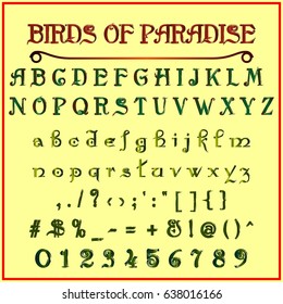 Font handcrafted vector script alphabet birds of Paradise
