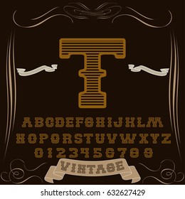 font handwritten vector Calligraphic vector vintage alphabet,vector,script,font,labels,designers for typeface,grunge,banners with decoration,handcrafted,Hand Lettering named  T vintage