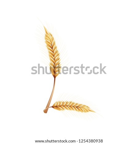 Font L. Paddy rice, malt, barley, wheat design