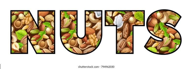 Font of nuts. Food grains of cashew and brazilian nut, coconut and cedar, hazelnut and cashew, almonds and walnut, nutmeg and pecan, peanut and macadamia, pistachio.