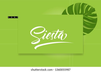 Font Presentation Template. Modern  Colourful Background