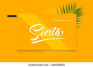 Font Presentation Template. Modern  Colourful Background