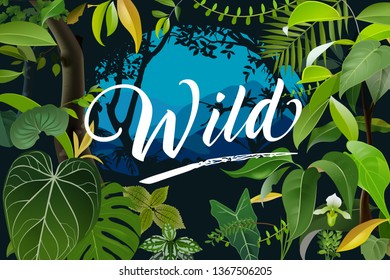 Font Presentation Template. Tropical Forest Background