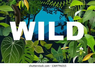 Font Presentation Template. Tropical Jungle. Botanical Background