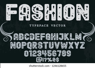 font script typeface vector named vintage fashion